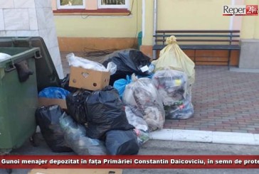 Gunoi menajer depozitat în fața Primăriei Constantin Daicoviciu, în semn de protest