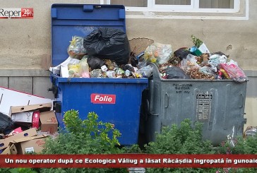 Un nou operator după ce Ecologica Văliug a lăsat Răcășdia îngropată în gunoaie