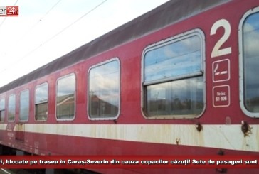 Cinci trenuri, blocate pe traseu în Caraș-Severin din cauza copacilor căzuți! Sute de pasageri sunt afectați