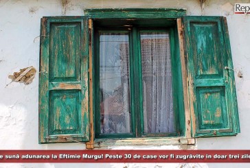 Se sună adunarea la Eftimie Murgu! Peste 30 de case vor fi zugrăvite în doar trei zile!