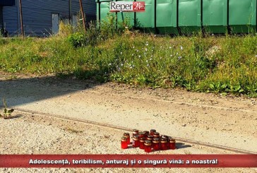 Adolescență, teribilism, anturaj și o singură vină: a noastră!