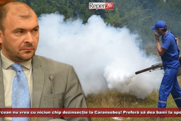 Borcean nu vrea cu niciun chip dezinsecție la Caransebeș! Preferă să dea banii la sport!