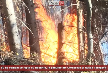 80 de oameni se luptă cu flăcările, în pădurile din Cornereva și Rusca Teregova