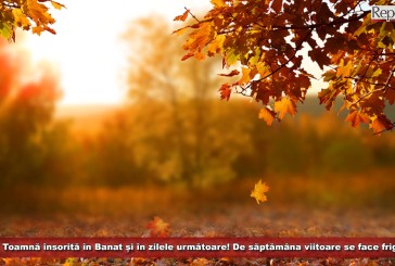 Toamnă însorită în Banat și în zilele următoare! De săptămâna viitoare se face frig