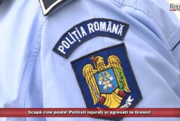 Scapă cine poate! Polițiști înjurați și agresați la Greoni!
