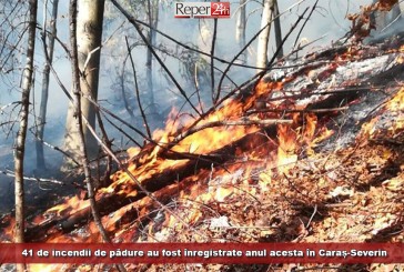 41 de incendii de pădure au fost înregistrate anul acesta în Caraș-Severin