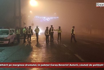 Tâlhărit pe marginea drumului, în județul Caraș-Severin! Autorii, căutați de polițiști!