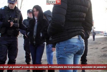 Au ieșit „la produs” și s-au ales cu sancțiuni. Prostituatele din Caransebeș, amendate de jandarmi