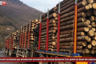 Fără tiruri cu lemne pe drumurile turistice din Caraș-Severin! Cel puțin la final de săptămână!