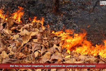 Dai foc la resturi vegetale, ești amendat de polițiștii locali reșițeni