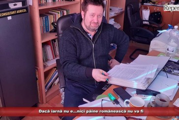 Dacă iarnă nu e…nici pâine românească nu va fi