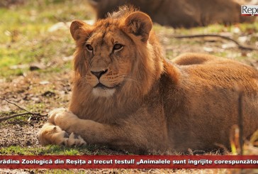 Grădina Zoologică din Reșița a trecut testul! „Animalele sunt îngrijite corespunzător”