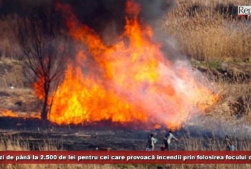 Amenzi de până la 2.500 de lei pentru cei care provoacă incendii prin folosirea focului deschis