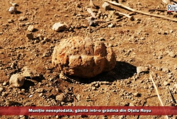 Muniție neexplodată, găsită într-o grădină din Oțelu Roșu!