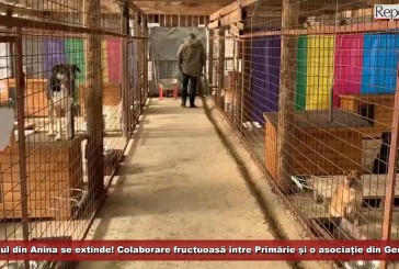 Padocul din Anina își mărește capacitatea! Colaborare fructuoasă între administrația locală și o asociație din Germania