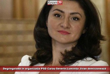 Degringoladă în organizația PSD Caraș-Severin.Luminița Jivan demisionează