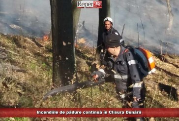 Incendiile de pădure continuă în Clisura Dunării