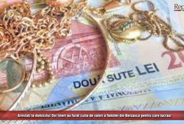 Arestați la domiciliu! Doi tineri au furat cutia de valori a familiei pentru care lucrau, la Berzasca!