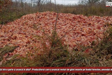 „Curăță într-o parte și aruncă în alta!”. Producătorul care a depozitat resturi de găini moarte pe fondul de vânătoare, amendat de DSV!