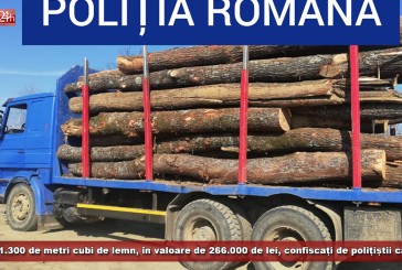 Peste 1.300 de metri cubi de lemn, în valoare de 266.000 de lei, confiscați de polițiștii cărășeni