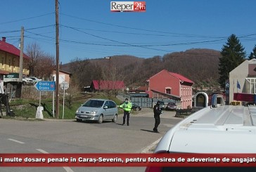 Tot mai multe dosare penale în Caraș-Severin, pentru folosirea de adeverințe de angajator false
