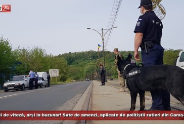 Amatorii de viteză, arși la buzunar! Sute de amenzi, aplicate de polițiștii rutieri din Caraș-Severin!