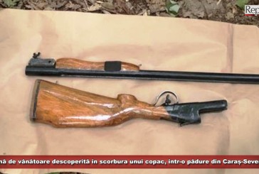 Armă de vânătoare descoperită în scorbura unui copac, într-o pădure din Caraș-Severin