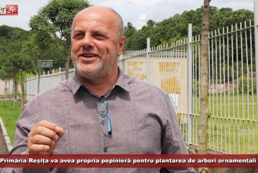 Fără copaci achiziționați de peste hotare! Primăria Reșița va avea propria pepinieră pentru plantarea de arbori ornamentali