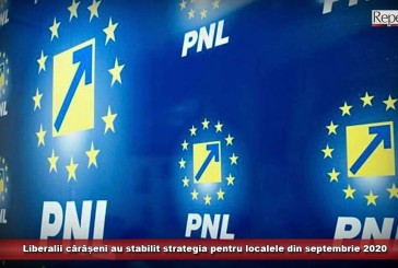 Liberalii cărășeni au stabilit strategia pentru localele din septembrie 2020