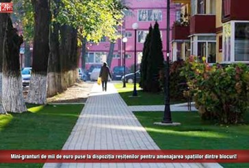 Mini-granturi de mii de euro puse la dispoziția reșițenilor pentru amenajarea spațiilor dintre blocuri!