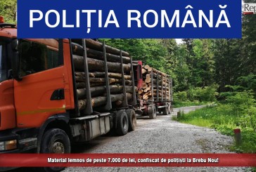 Material lemnos de peste 7.000 de lei, confiscat de polițiști la Brebu Nou!