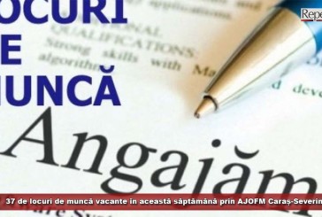 37 de locuri de muncă vacante în această săptămână prin AJOFM Caraș-Severin