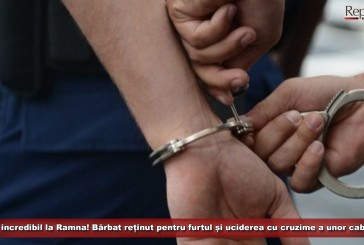 Caz incredibil la Ramna! Bărbat reținut pentru furtul și uciderea cu cruzime a unor cabaline!