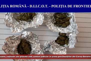 12 persoane, reținute pentru 24 de ore sau plasate sub control judiciar în urma perchezițiilor din Caraș-Severin și Timiș