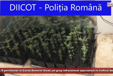 UPDATE: 9 percheziții domiciliare în Caraș-Severin! Vizat, un grup infracțional organizat specializat în traficul de droguri