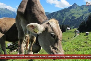 Bani europeni pentru fermierii din zona montană! Până la 300.000 de euro pentru abatoare de capacitate mică