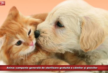Anina: campanie generală de sterilizare gratuită a câinilor și pisicilor