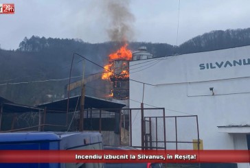 Incendiu izbucnit la Silvanus, în Reșița!