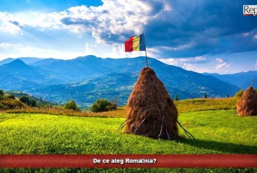 De ce aleg România?