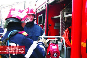 Noroc şi intervenţie rapidă a pompierilor la un depozit de cherestea din Reşiţa