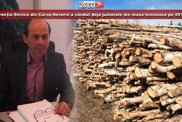 Direcția Silvică din Caraș-Severin a vândut deja jumătate din masa lemnoasă pe 2015