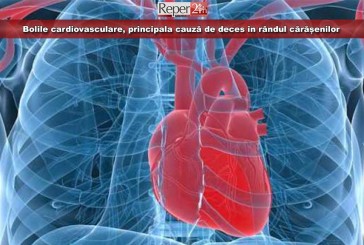 Bolile cardiovasculare, principala cauză de deces în rândul cărășenilor