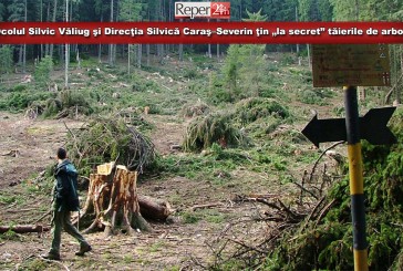GEC Nera acuză: Ocolul Silvic Văliug şi Direcţia Silvică Caraş–Severin ţin „la secret” tăierile de arbori din Parcul Național