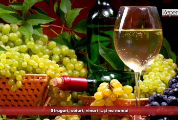Struguri, soiuri, vinuri …și nu numai
