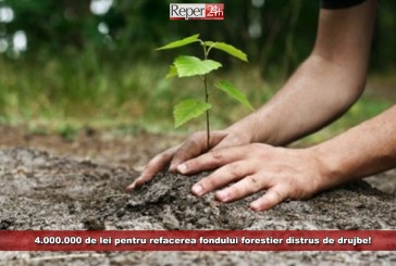 4.000.000 de lei pentru refacerea fondului forestier distrus de drujbe!