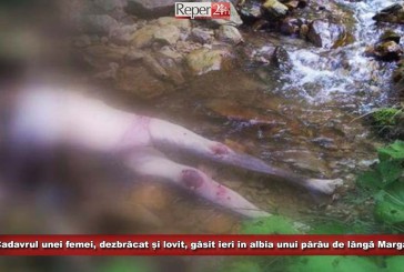 Cadavrul unei femei, dezbrăcat și lovit, găsit ieri în albia unui pârâu de lângă Marga