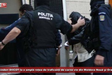 UPDATE 2: Descinderi DIICOT la o amplă rețea de traficanți de carne vie din Moldova Nouă şi Oravița! 13 cărășeni, implicați!