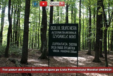 Trei păduri din Caraș-Severin au ajuns pe Lista Patrimoniului Mondial UNESCO! Defrișările sunt de acum strict interzise!