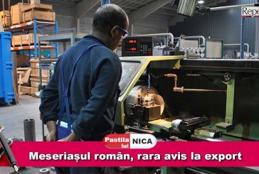 Pastila lui Nica: Meseriașul român, rara avis la export