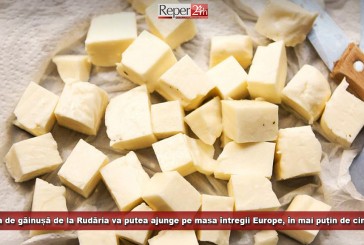 Brânza de găinușă de la Rudăria va putea ajunge pe masa întregii Europe, în mai puțin de cinci ani!